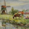 watermolen onder utrecht met  koeien
